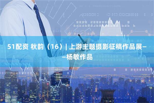 51配资 秋韵（16）| 上游主题摄影征稿作品展——杨敏作品