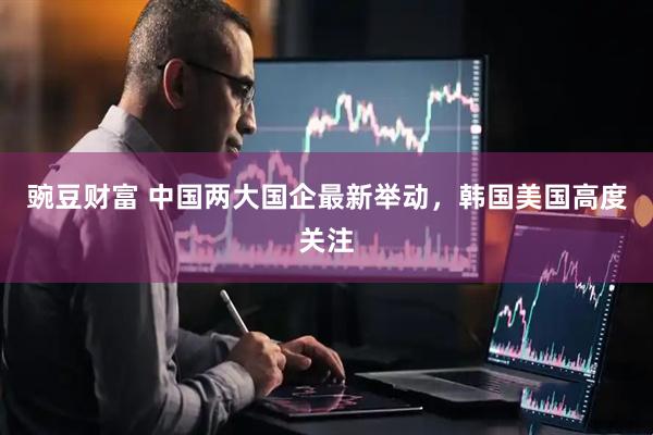 豌豆财富 中国两大国企最新举动，韩国美国高度关注