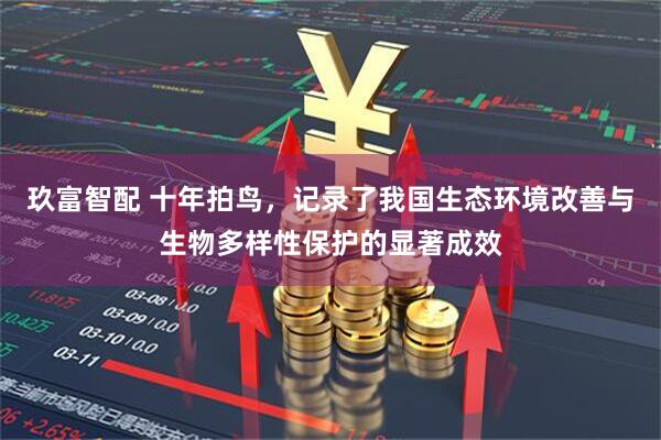 玖富智配 十年拍鸟，记录了我国生态环境改善与生物多样性保护的显著成效