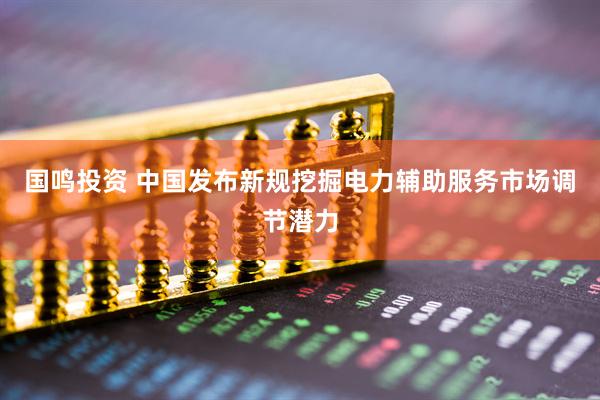 国鸣投资 中国发布新规挖掘电力辅助服务市场调节潜力