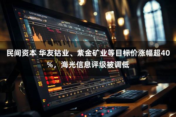 民间资本 华友钴业、紫金矿业等目标价涨幅超40%，海光信息评级被调低