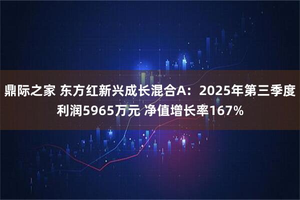 鼎际之家 东方红新兴成长混合A：2025年第三季度利润5965万元 净值增长率167%